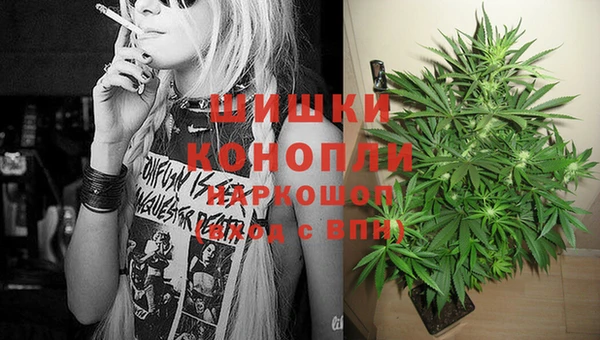гидра Абинск