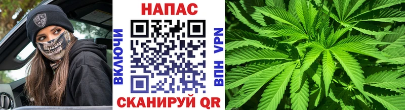 мега ссылка  хочу   Благовещенск  Бошки Шишки гибрид 